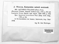 Image Associated With the Occurence